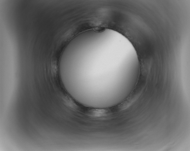 X0000112850085200908211309