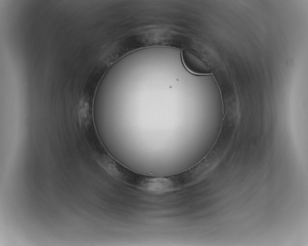 X0000112850087200908211309