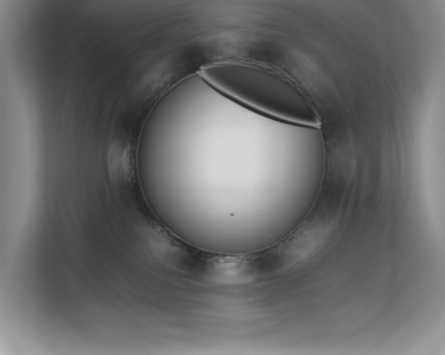 X0000112850088200908211309
