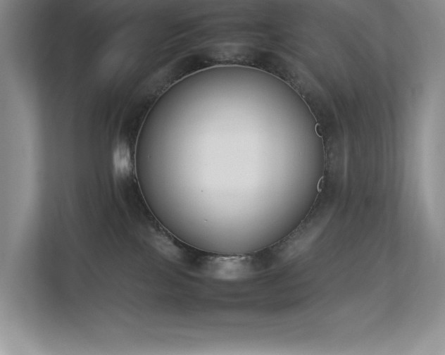 X0000112850089200908211309