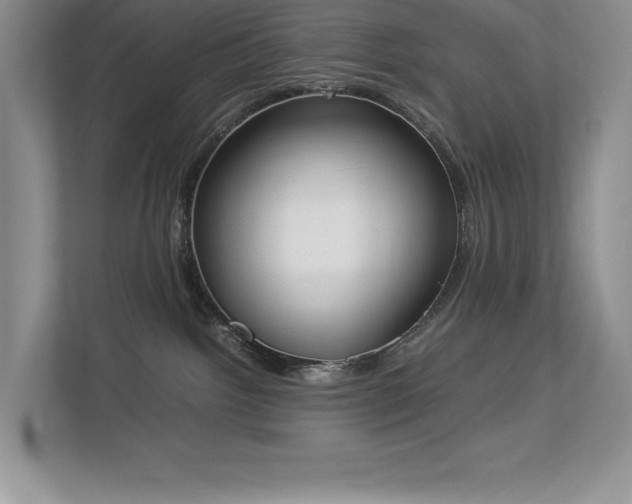 X0000112850092200908211309
