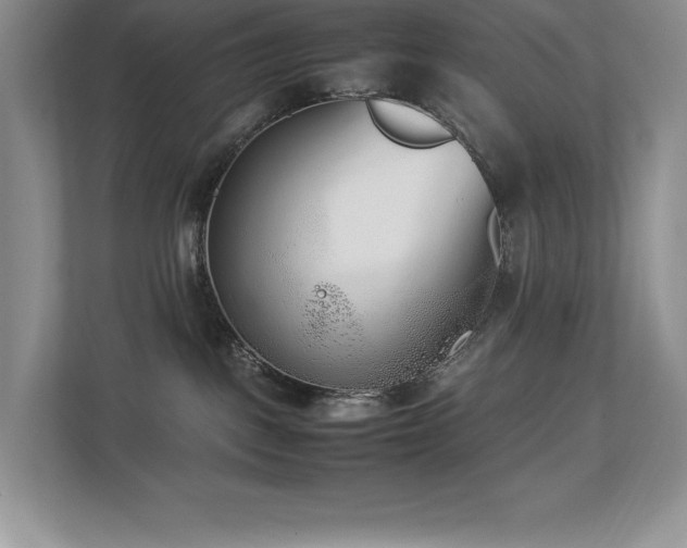 X0000112850093200908211309