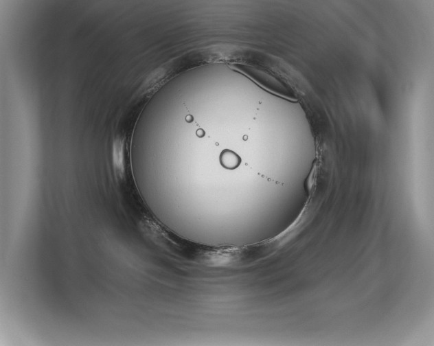 X0000112850094200908211309