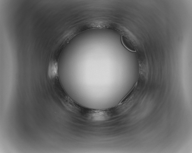 X0000112850095200908211309
