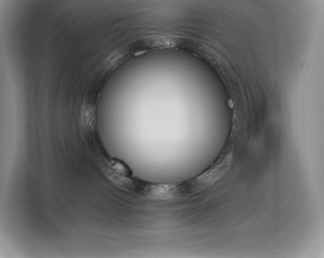 X0000112850096200908211309