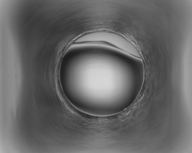 X0000112850097200908211309