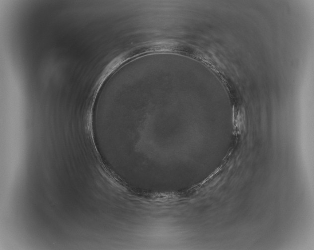 X0000112850099200908211309