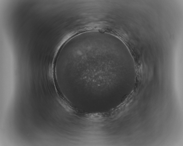 X0000112850100200908211309