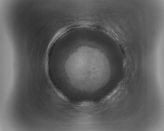 X0000112850101200908211308