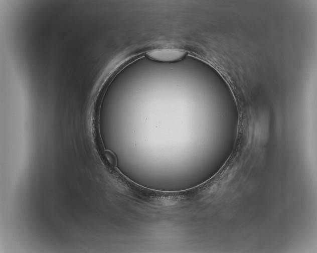 X0000112850103200908211308