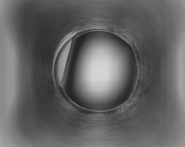 X0000112850104200908211308