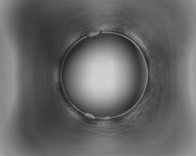 X0000112850105200908211308