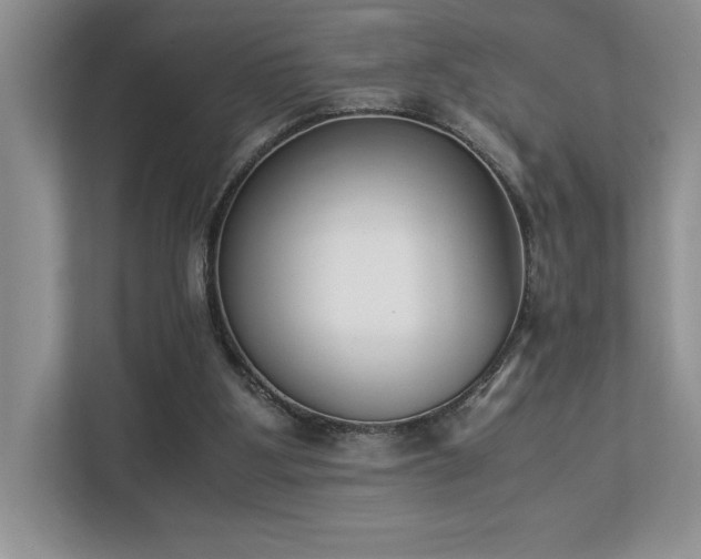 X0000112850107200908211308