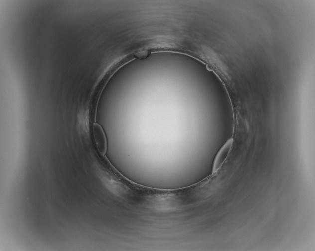 X0000112850108200908211308