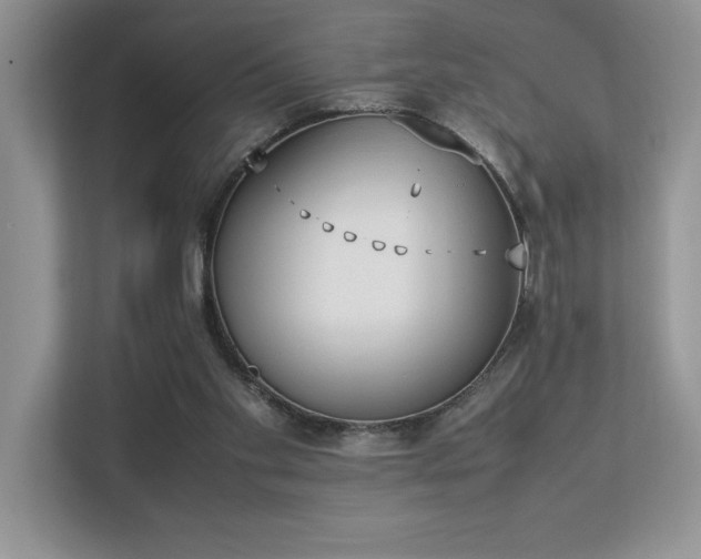 X0000112850109200908211308