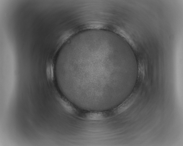 X0000112850110200908211308