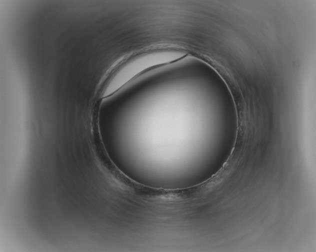 X0000112850112200908211308