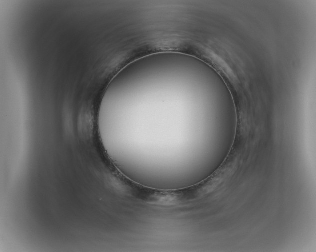 X0000112850113200908211308