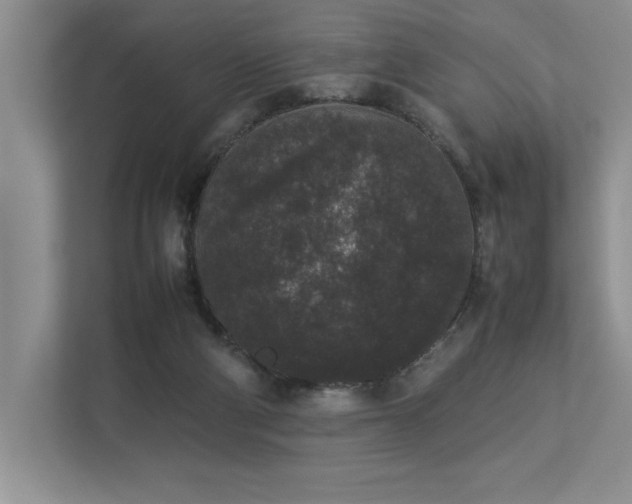 X0000112850114200908211308