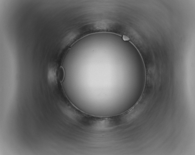 X0000112850116200908211308