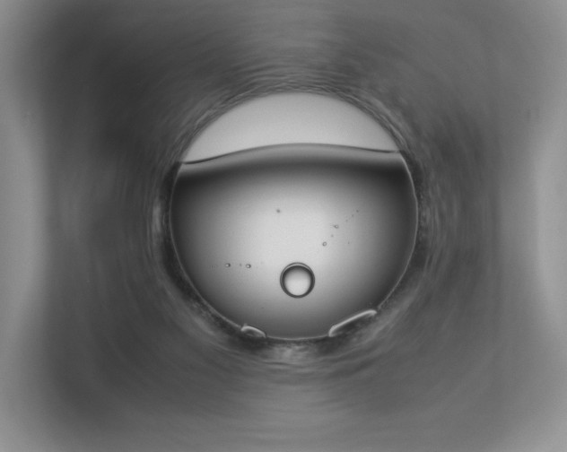 X0000112850117200908211308