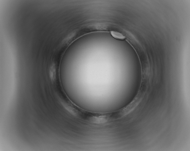 X0000112850120200908211308