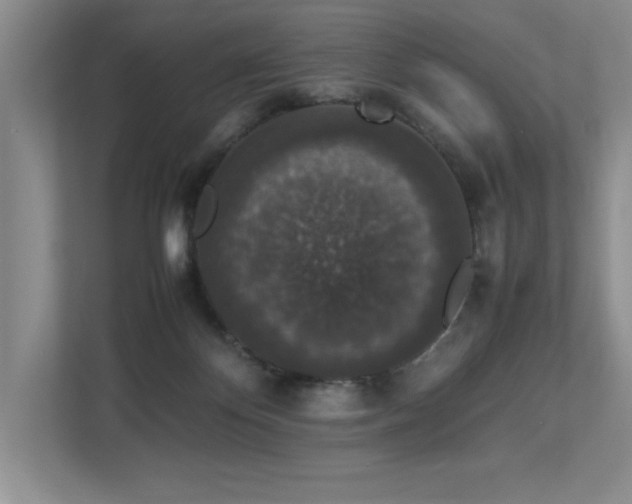X0000112850124200908211308