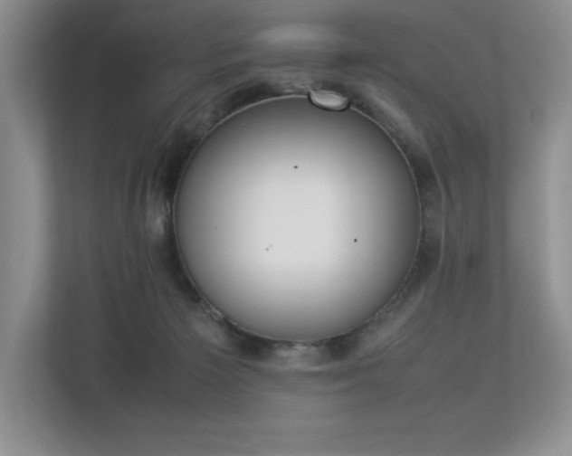 X0000112850125200908211308