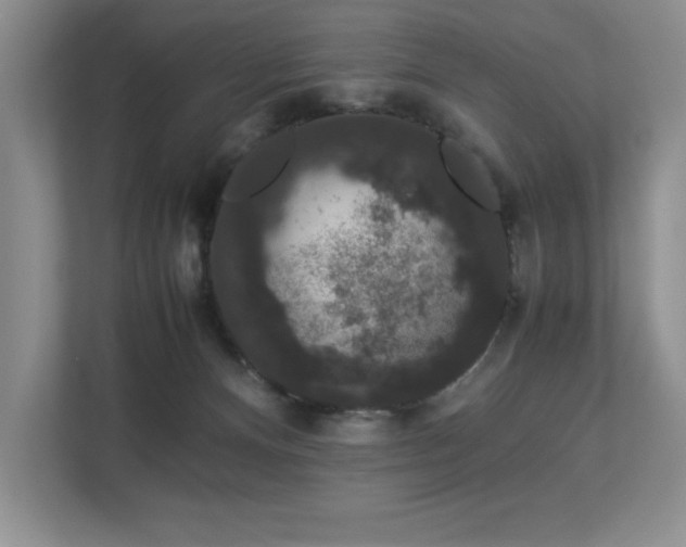 X0000112850128200908211308