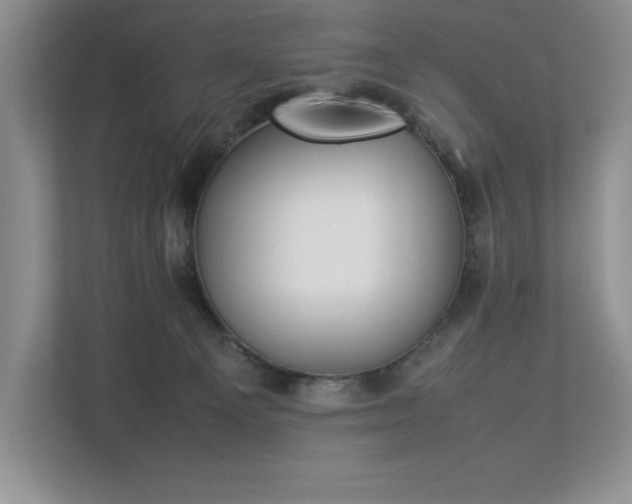 X0000112850129200908211308
