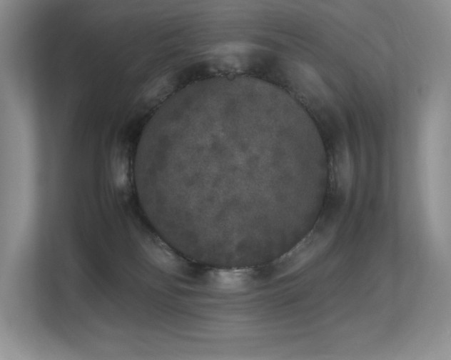 X0000112850134200908211308