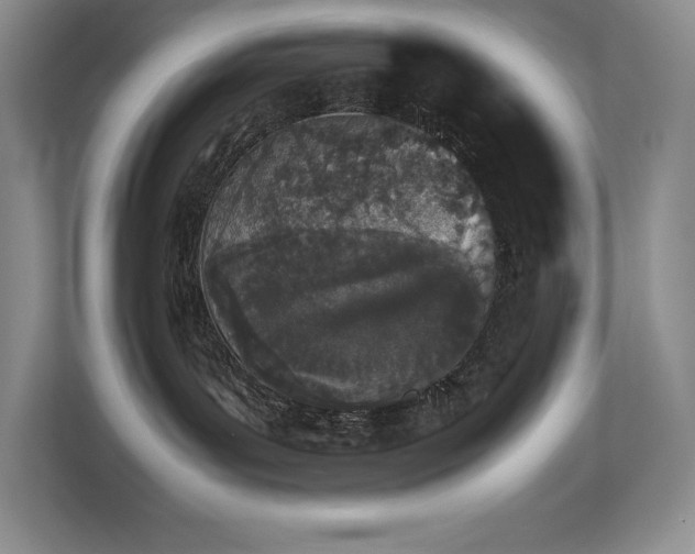 X0000112850143200908211308