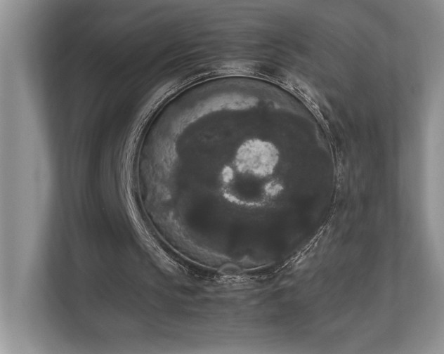 X0000112850145200908211307