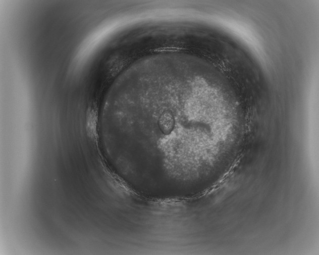 X0000112850146200908211307
