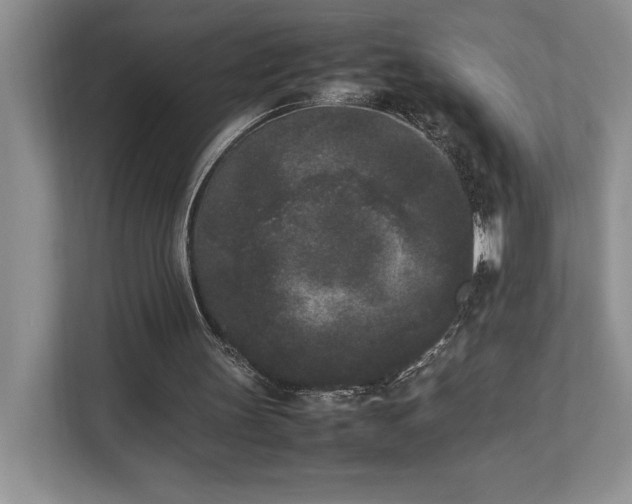 X0000112850147200908211307