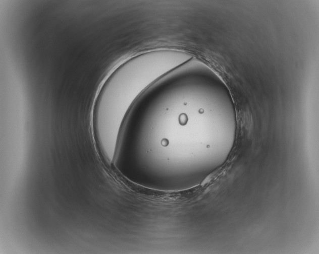 X0000112850148200908211307