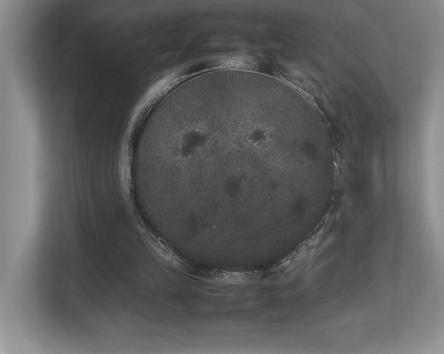 X0000112850149200908211307