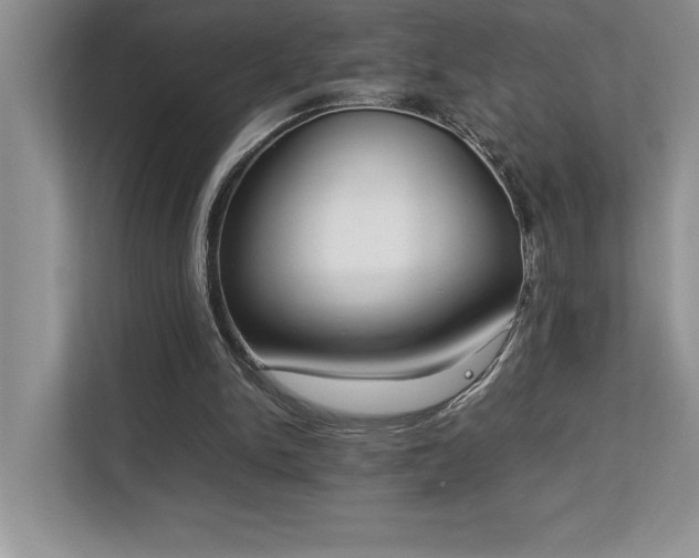 X0000112850150200908211307