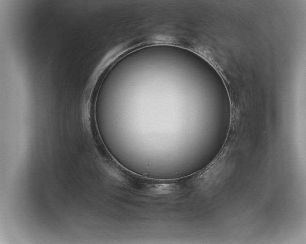 X0000112850151200908211307