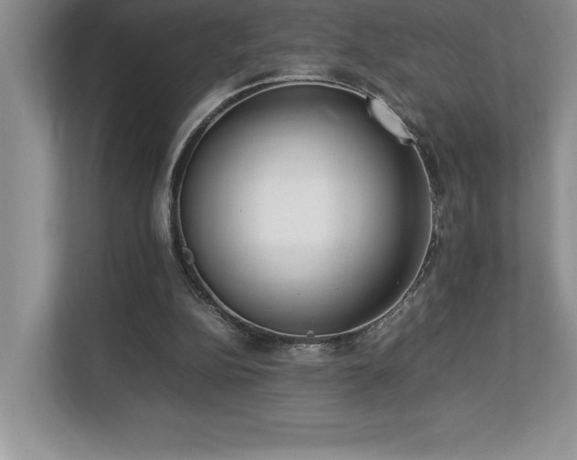 X0000112850152200908211307
