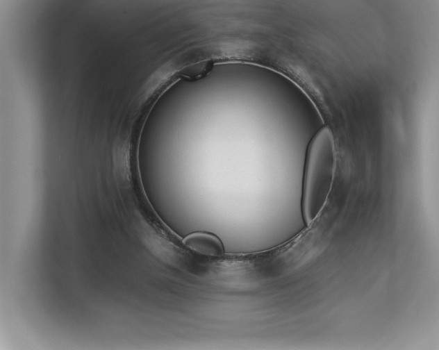 X0000112850154200908211307