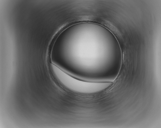 X0000112850156200908211307