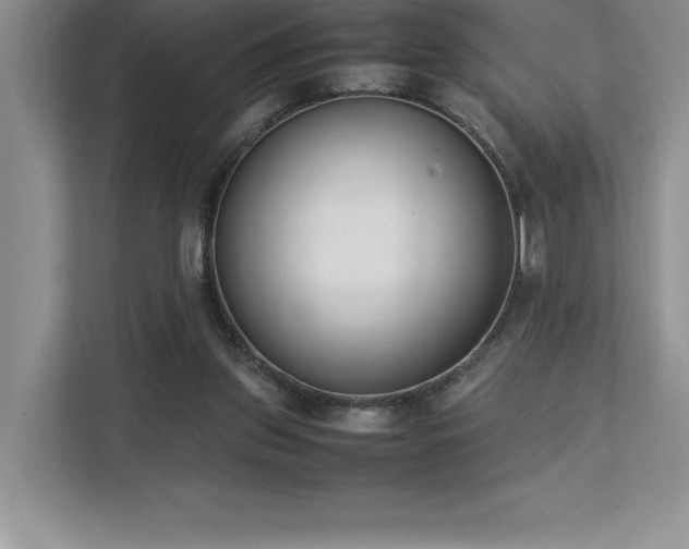 X0000112850157200908211307