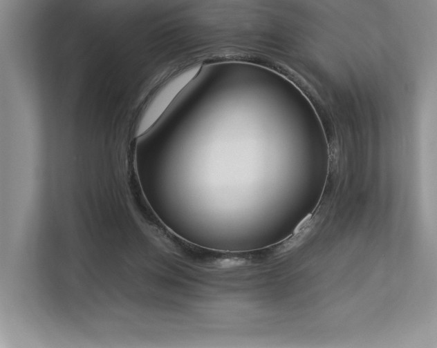 X0000112850158200908211307