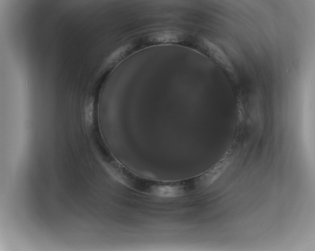 X0000112850163200908211308