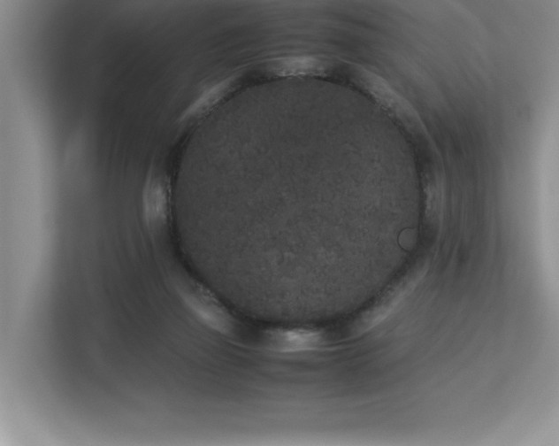 X0000112850165200908211308