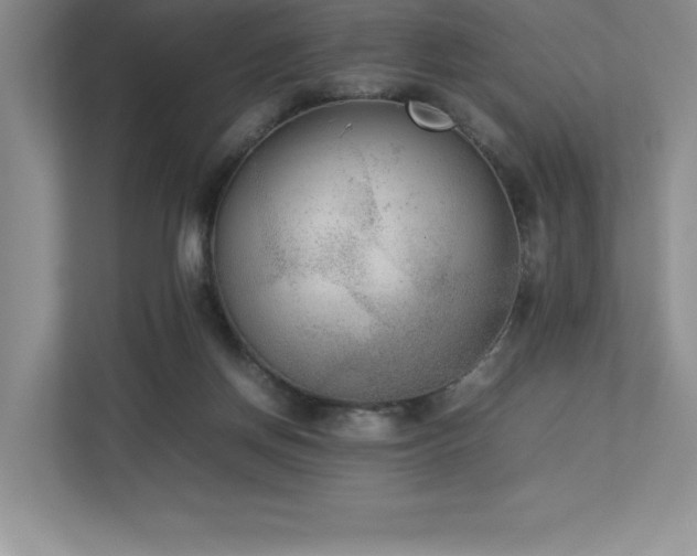 X0000112850166200908211308