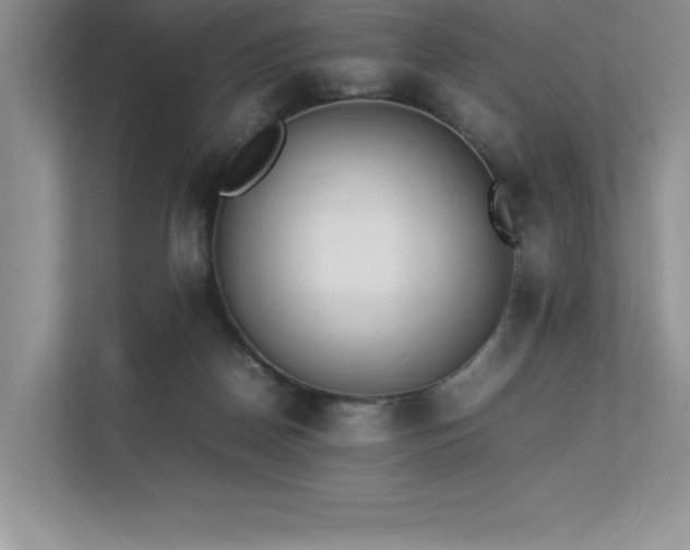 X0000112850170200908211308