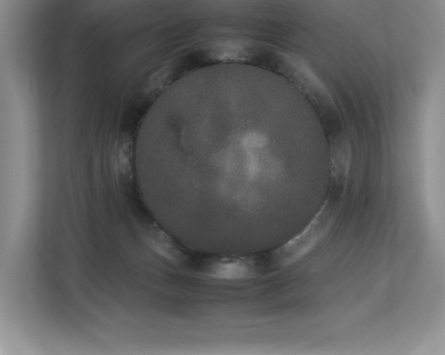 X0000112850175200908211308