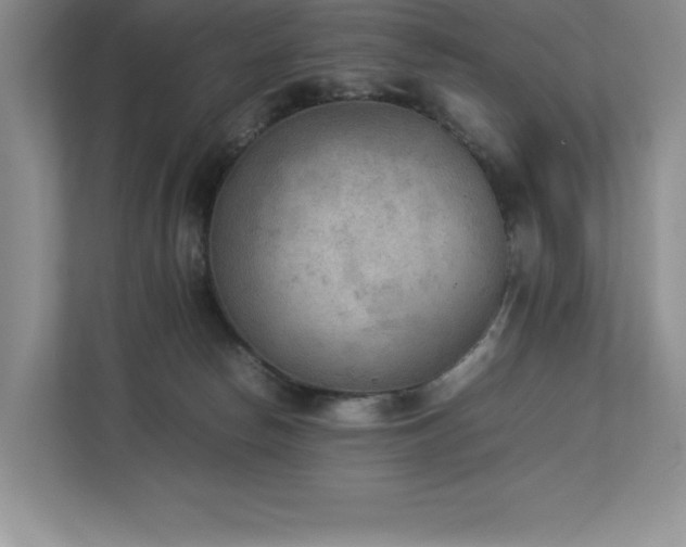 X0000112850178200908211308